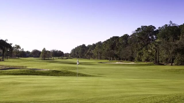 Arrowhead Naples