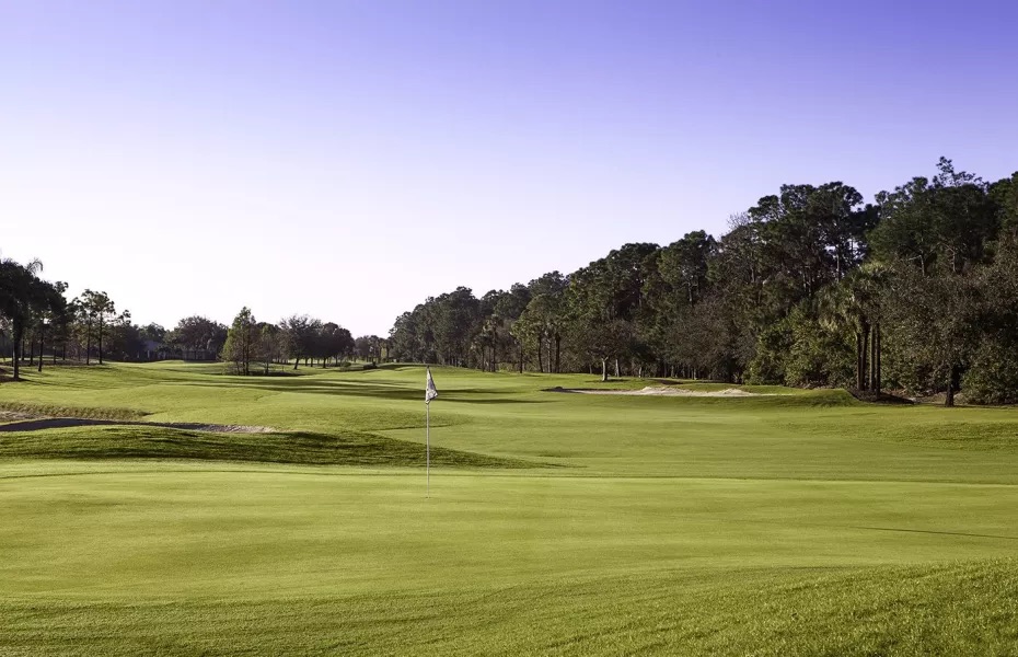Arrowhead Naples