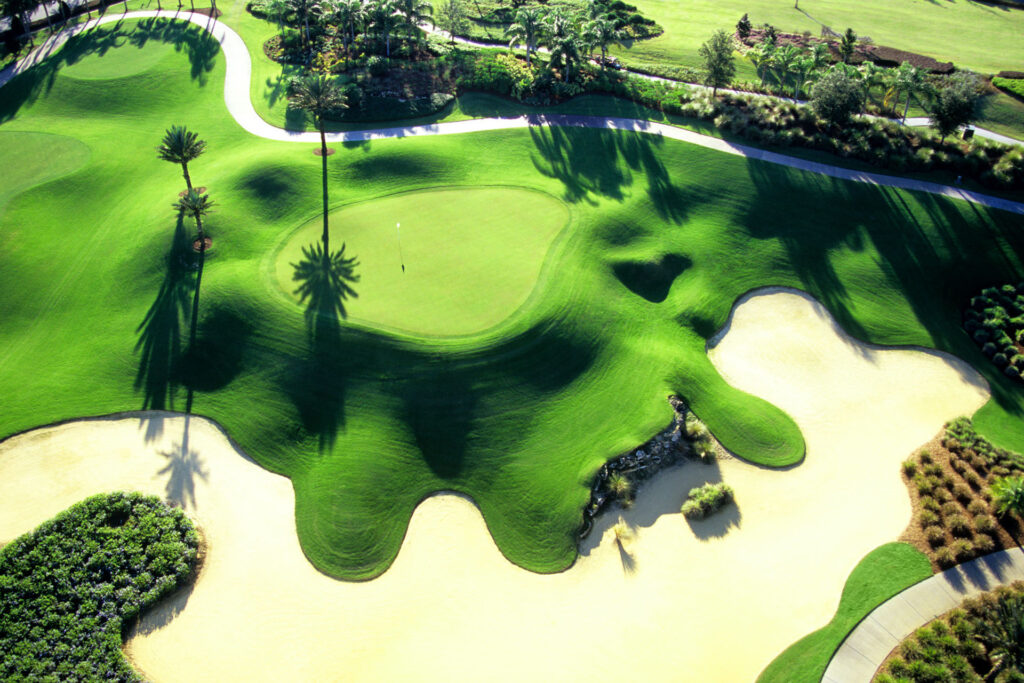 Reunion Golf Drone