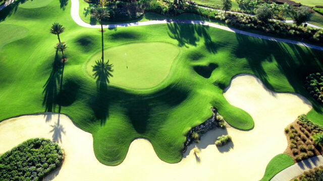 Reunion Golf Drone